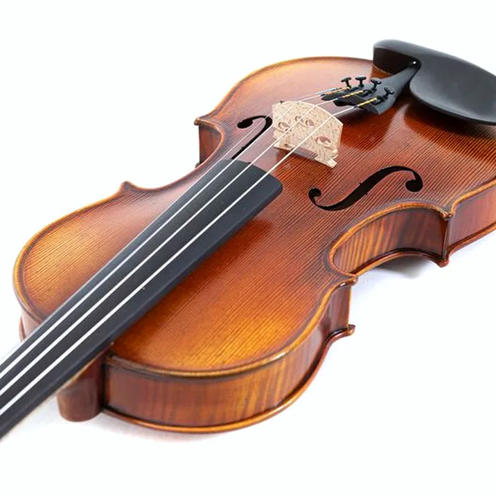 Gewa Maestro 2 Violin Set 1/4 OC CB