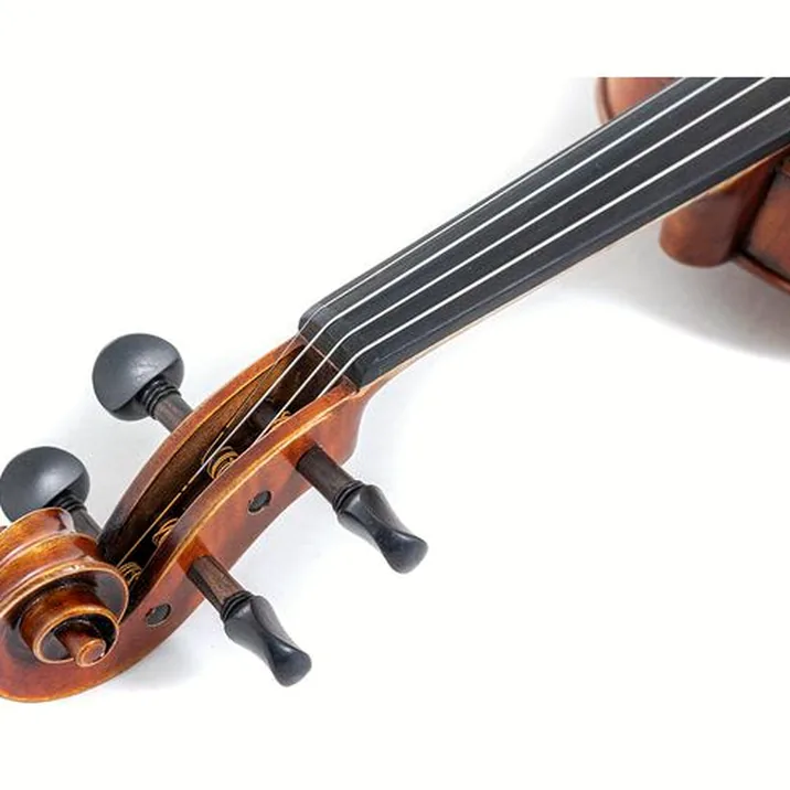 Gewa Maestro 2 Violin Set 1/4 OC CB
