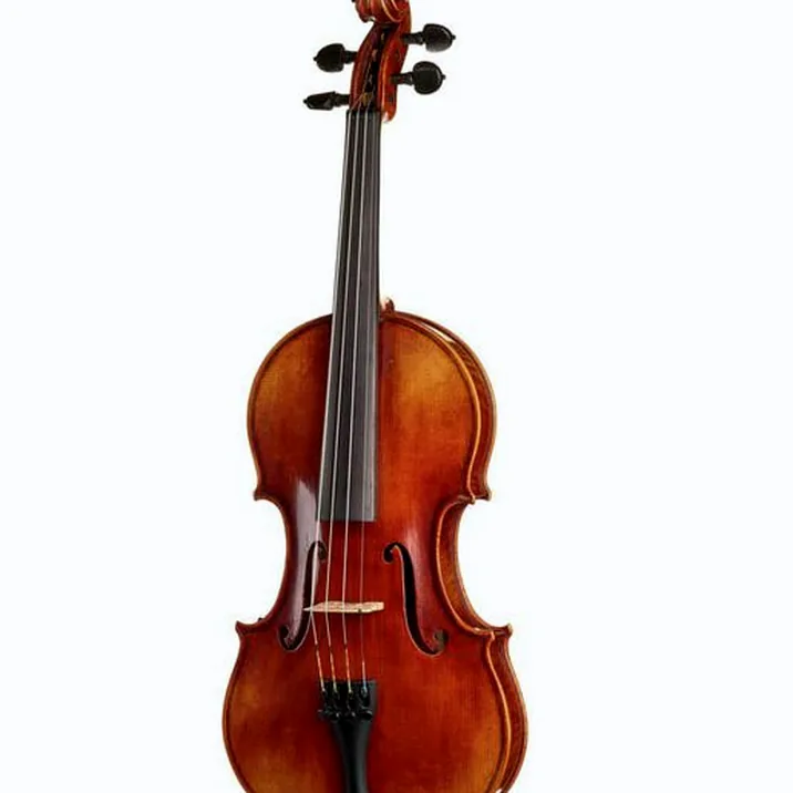 Gewa Maestro 41 Guarneri Violin