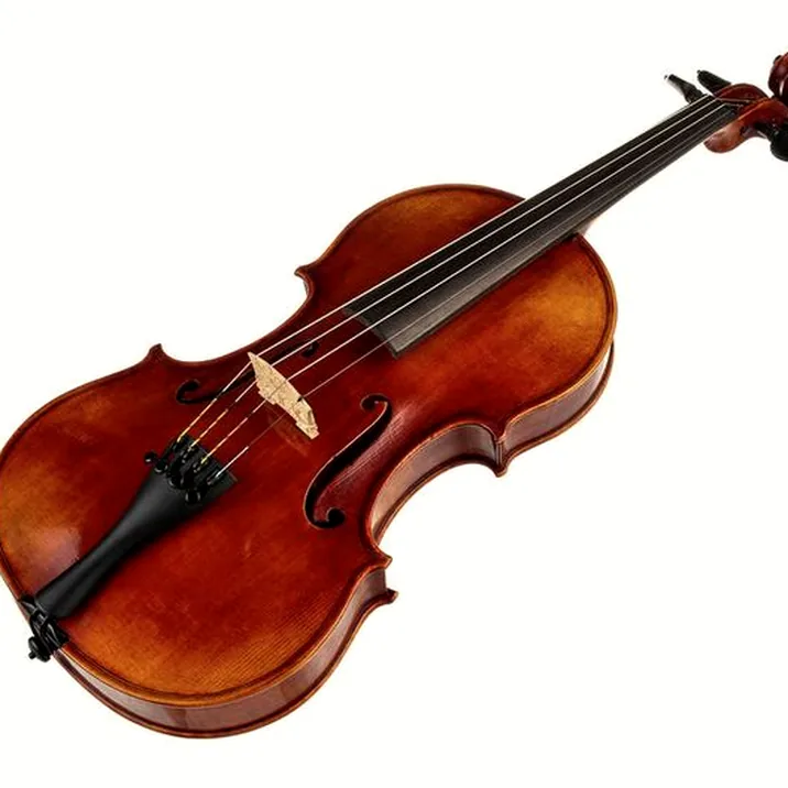 Gewa Maestro 41 Guarneri Violin