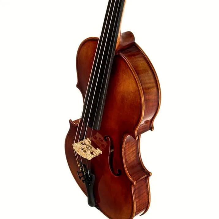 Gewa Maestro 41 Guarneri Violin