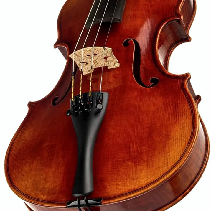 Gewa Maestro 41 Guarneri Violin