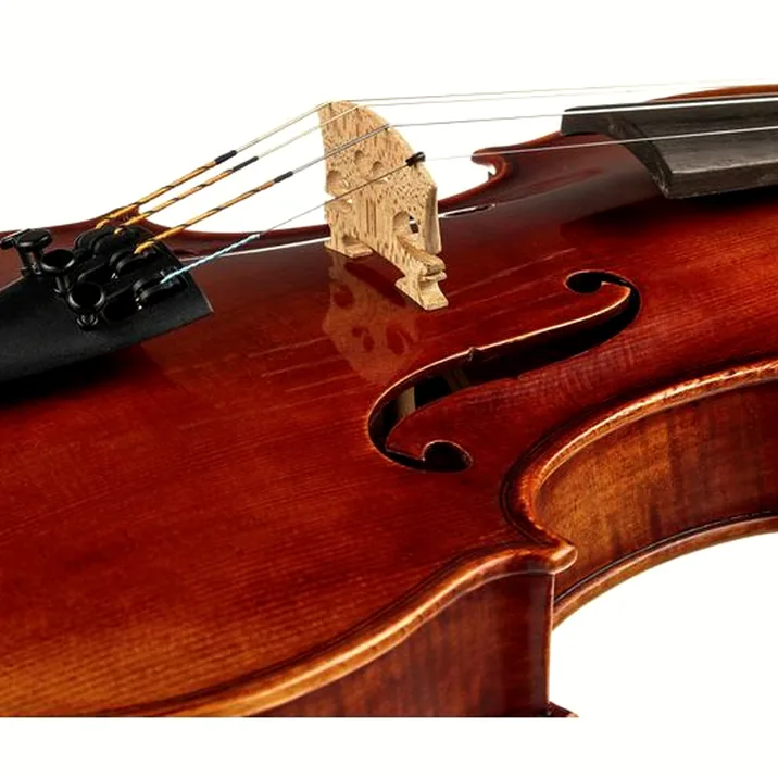 Gewa Maestro 41 Guarneri Violin
