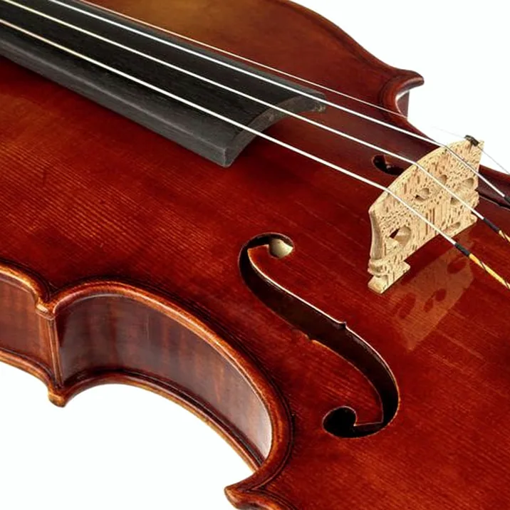 Gewa Maestro 41 Guarneri Violin