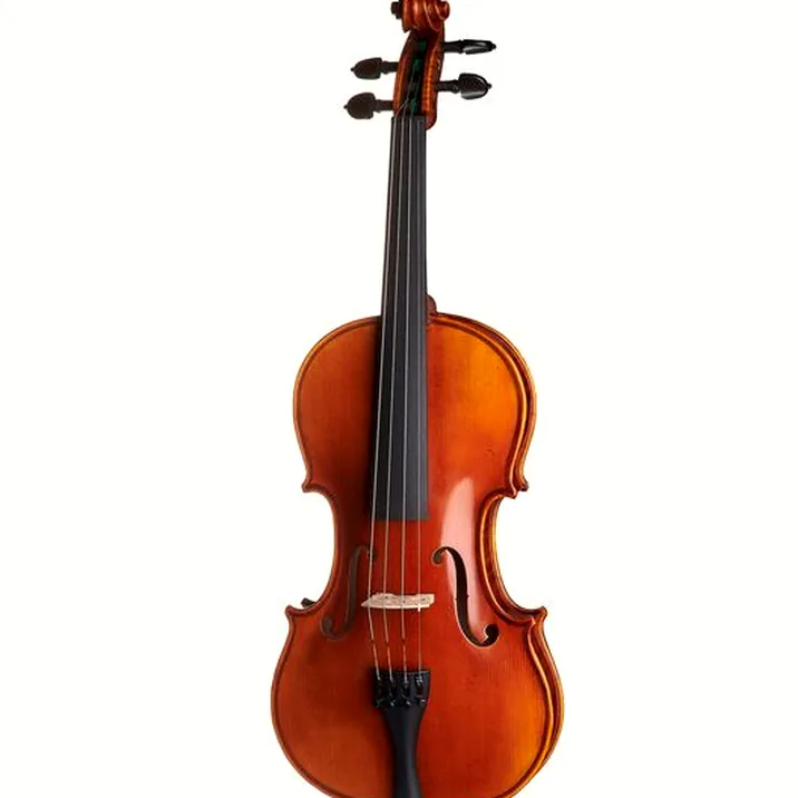 Gewa Maestro 41 Stradivari Violin