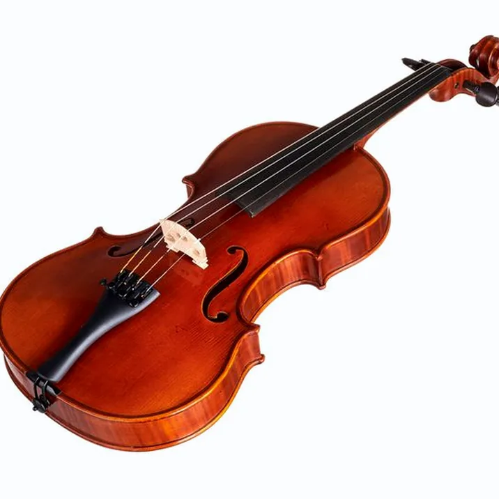 Gewa Maestro 41 Stradivari Violin