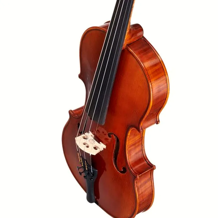 Gewa Maestro 41 Stradivari Violin
