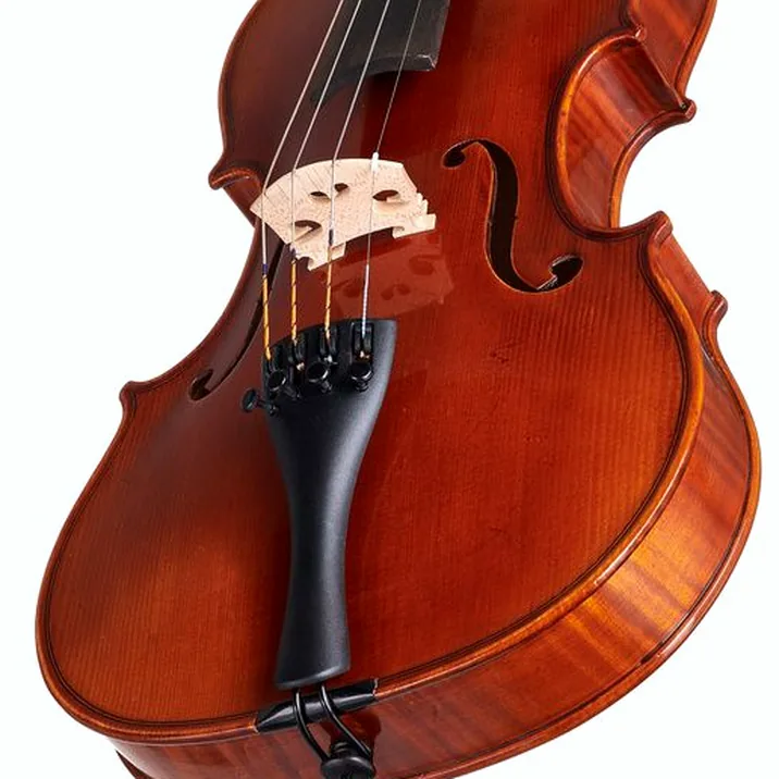 Gewa Maestro 41 Stradivari Violin