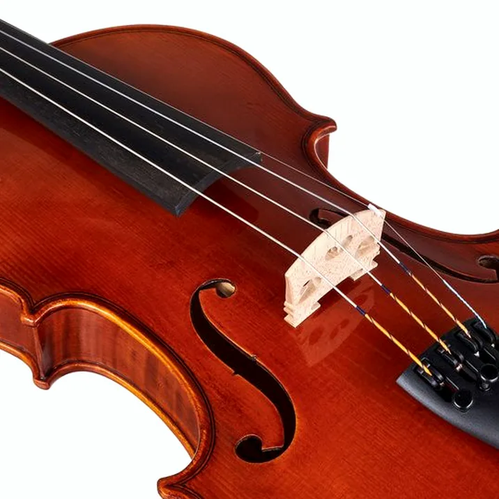 Gewa Maestro 41 Stradivari Violin