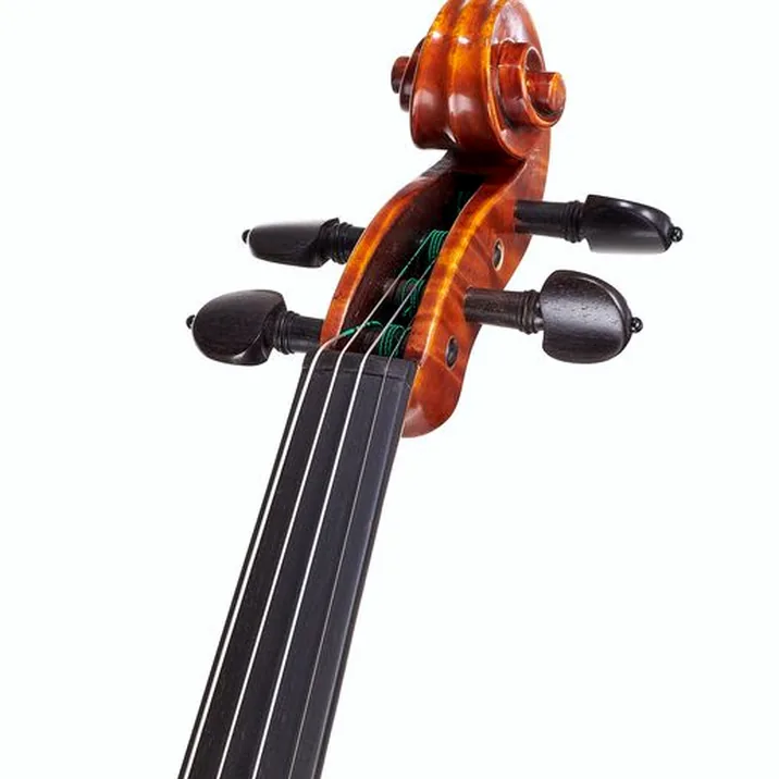 Gewa Maestro 41 Stradivari Violin