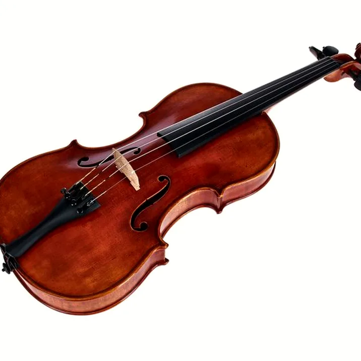 Gewa Maestro 46 Guarneri Violin