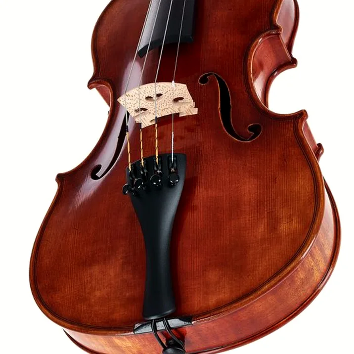 Gewa Maestro 46 Guarneri Violin