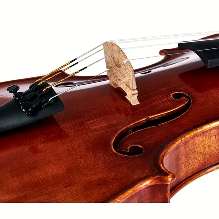 Gewa Maestro 46 Guarneri Violin
