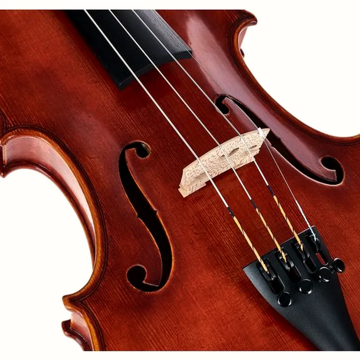 Gewa Maestro 46 Guarneri Violin