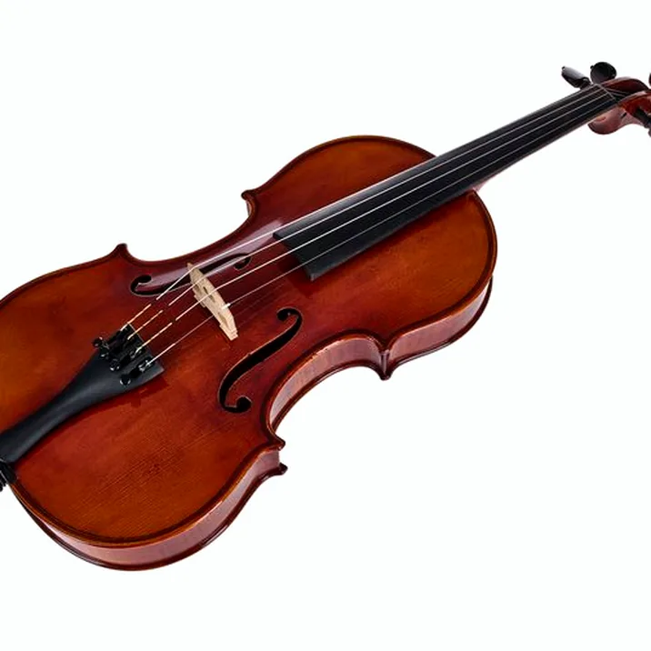 Gewa Maestro 51 Guarneri Violin