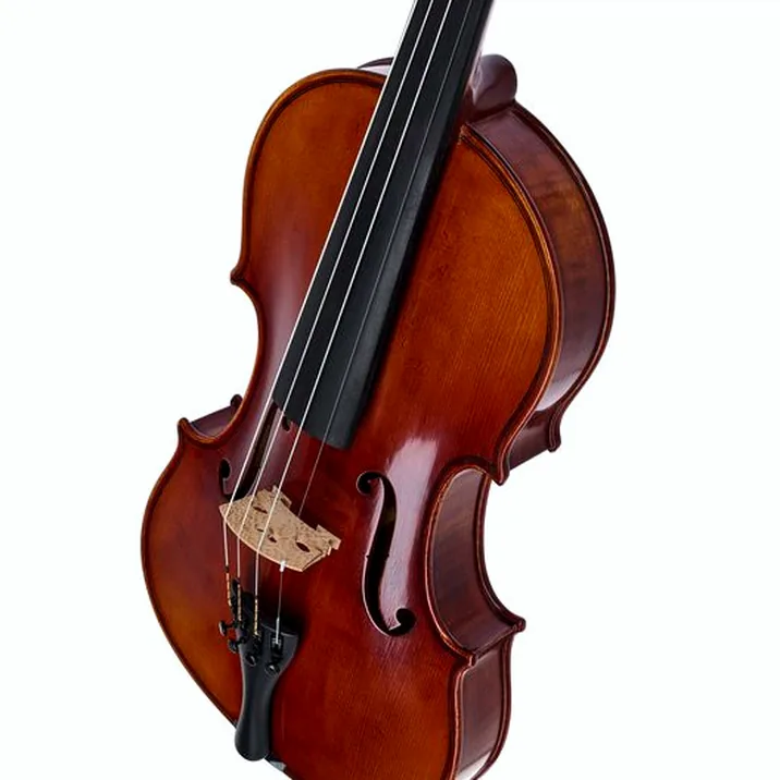 Gewa Maestro 51 Guarneri Violin