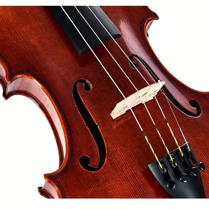 Gewa Maestro 51 Stradivari Violin