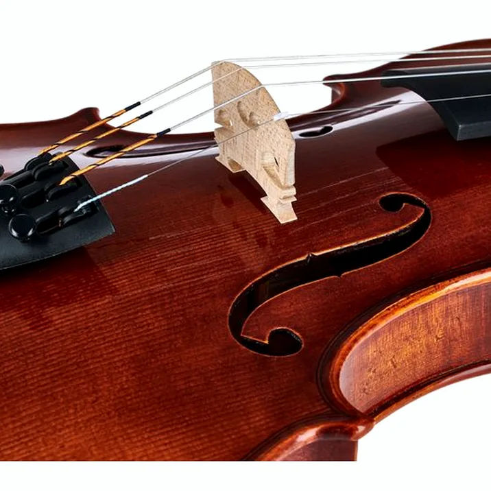 Gewa Maestro 51 Stradivari Violin