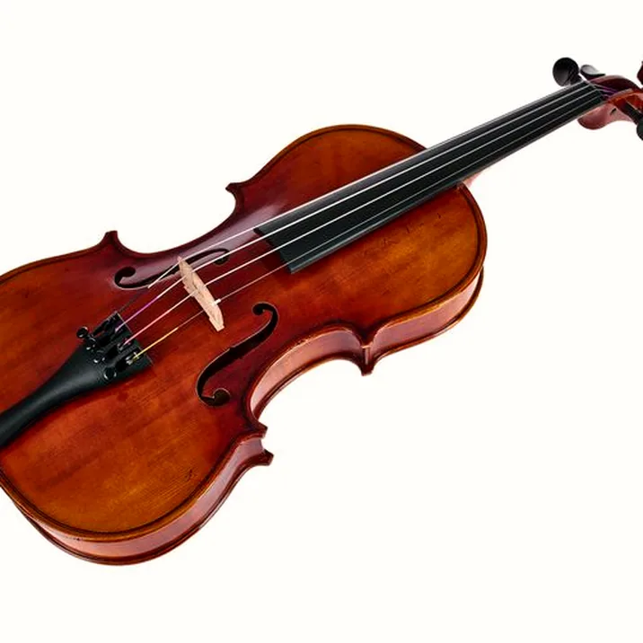 Gewa Maestro 6 Antiqued Violin 1/2