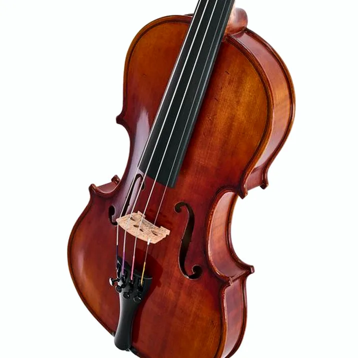 Gewa Maestro 6 Antiqued Violin 1/2