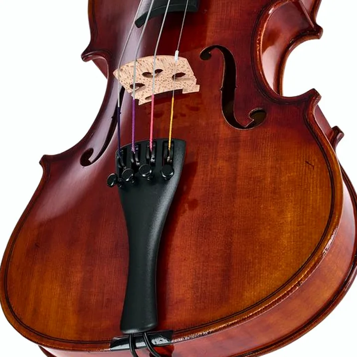 Gewa Maestro 6 Antiqued Violin 1/2