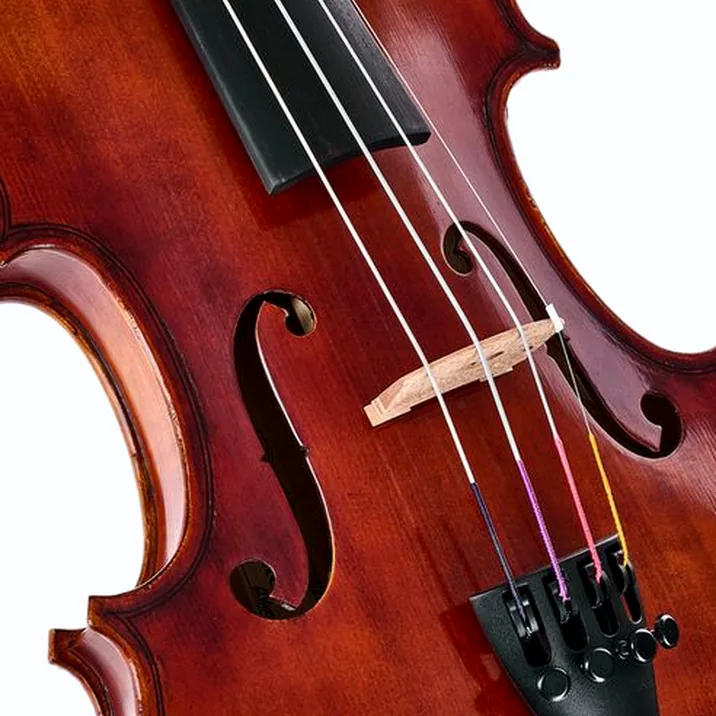 Gewa Maestro 6 Antiqued Violin 1/2