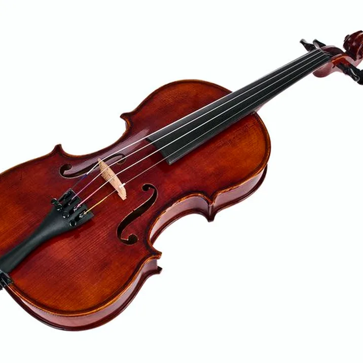 Gewa Maestro 6 Antiqued Violin 1/4
