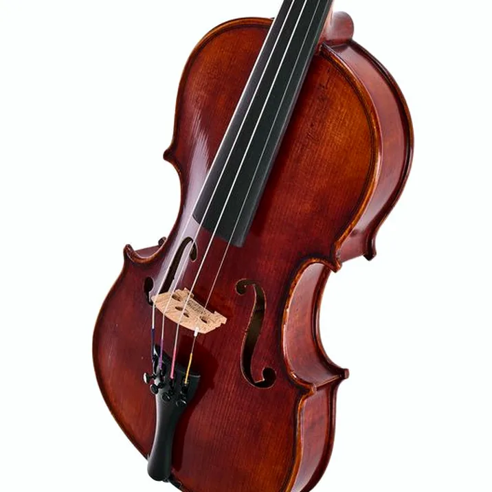 Gewa Maestro 6 Antiqued Violin 1/4