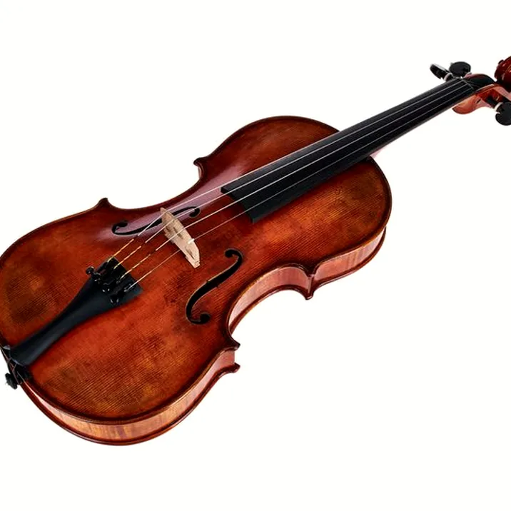 Gewa Maestro 71 Guarneri Violin