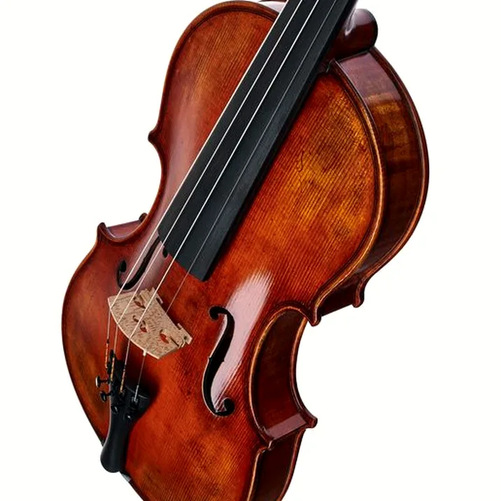 Gewa Maestro 71 Guarneri Violin