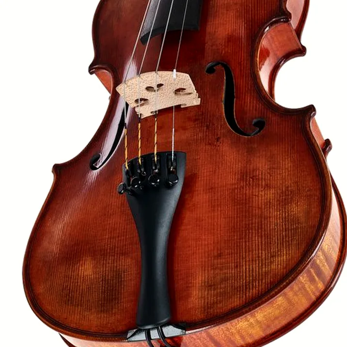Gewa Maestro 71 Guarneri Violin