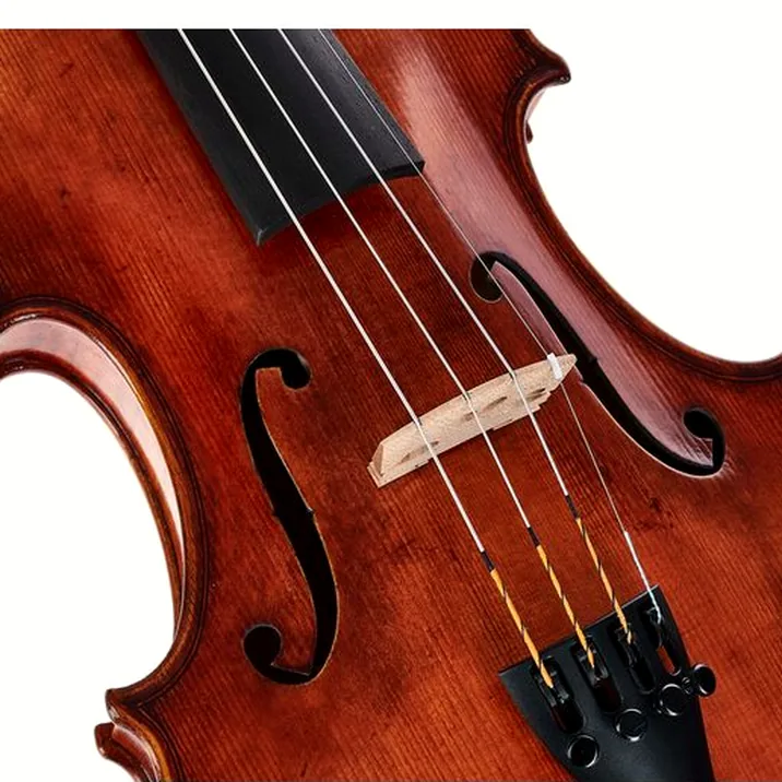 Gewa Maestro 71 Guarneri Violin