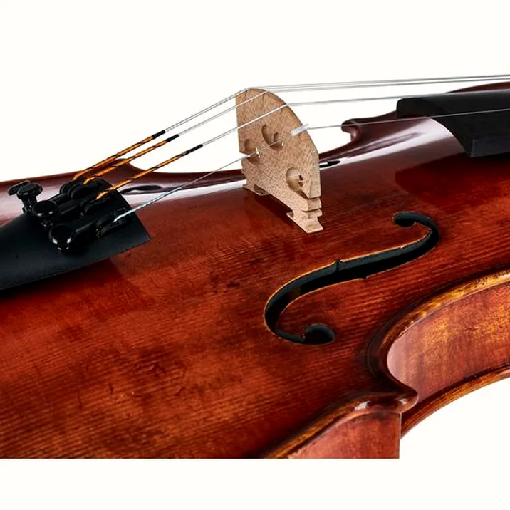 Gewa Maestro 71 Guarneri Violin