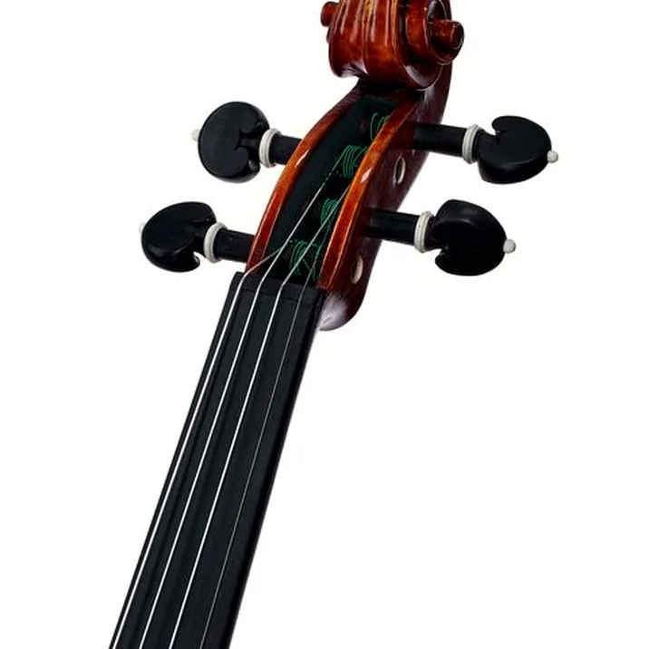 Gewa Maestro 71 Guarneri Violin