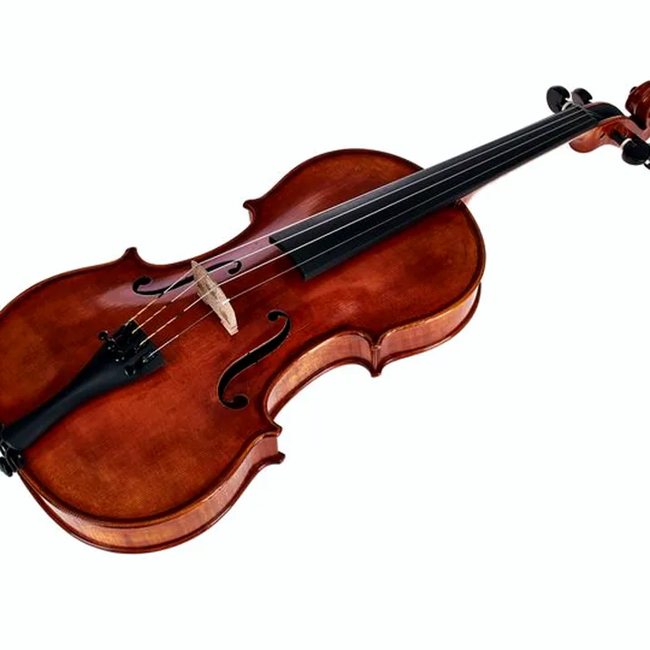 Gewa Maestro 71 Stradivari Violin