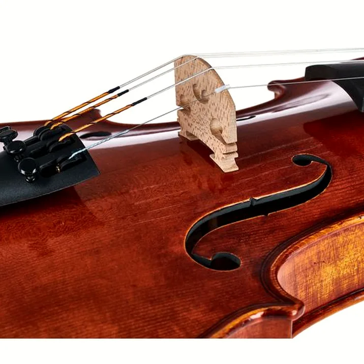 Gewa Maestro 71 Stradivari Violin