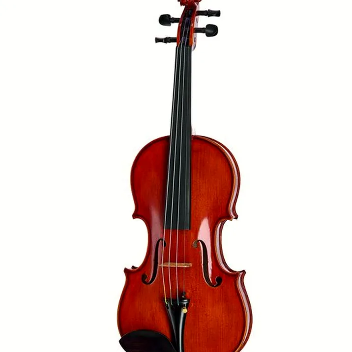 Hidersine Edwin Whitmarsh Violin Set 4 4