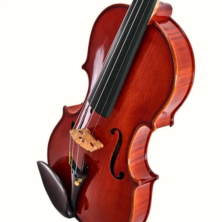 Hidersine Edwin Whitmarsh Violin Set 4/4
