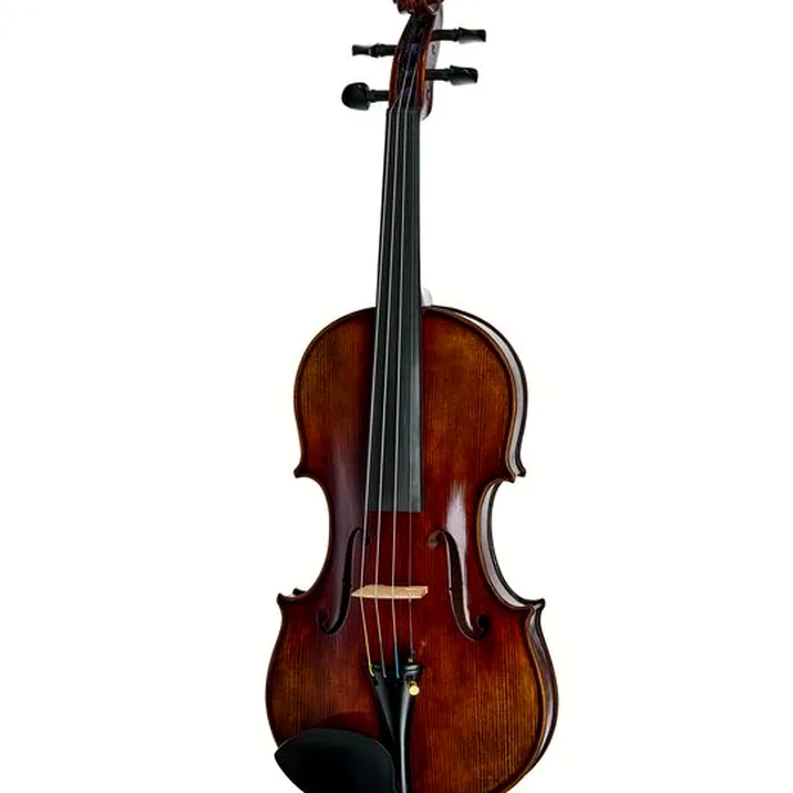 Hidersine Melodioso Violin Set Guarneri