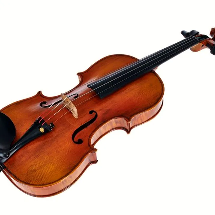 Hidersine Venezia Finetune Viol. Set 3/4