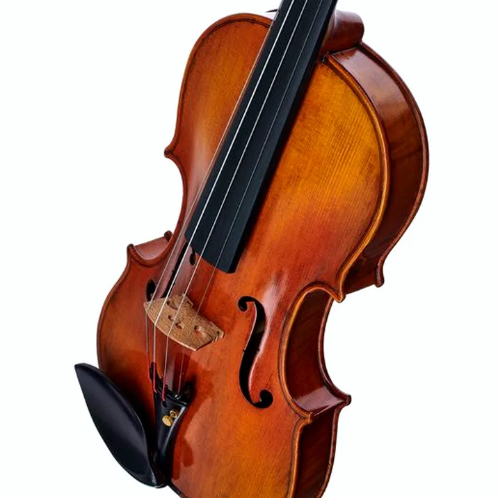 Hidersine Venezia Finetune Viol. Set 3/4