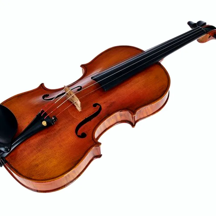 Hidersine Venezia Finetune Viol. Set 4/4