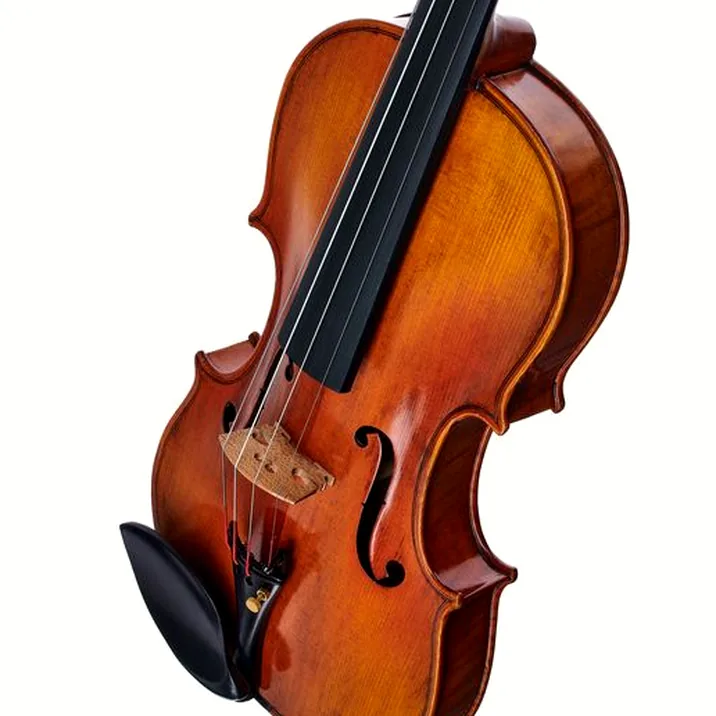 Hidersine Venezia Finetune Viol. Set 4/4