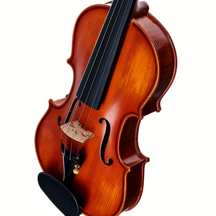Hidersine Vivente Academy Violin Set 1/8