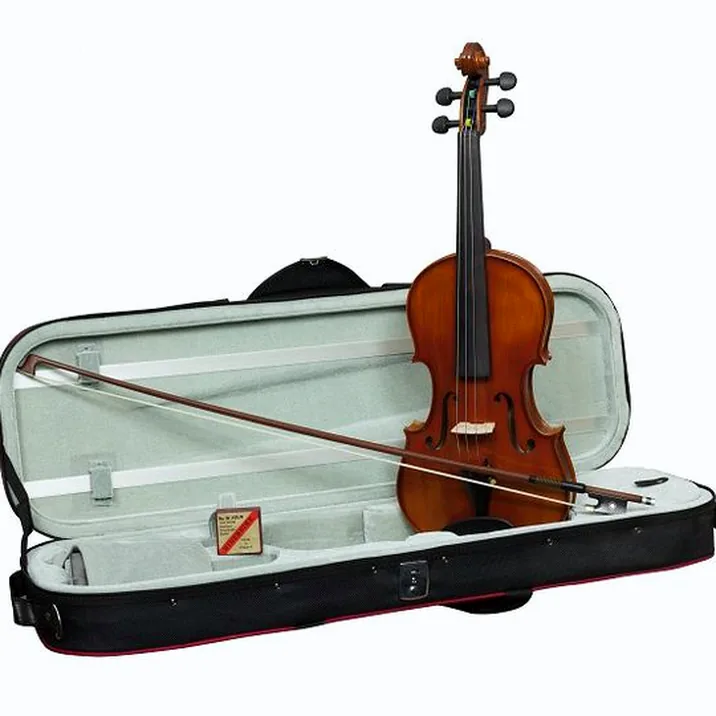 Hidersine Vivente Academy Violin Set 4/4