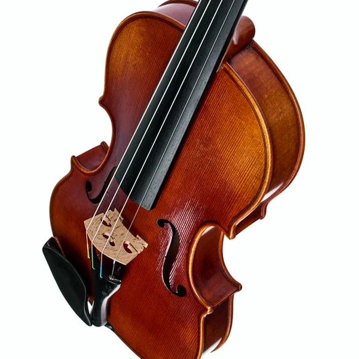 Karl Höfner H115-BG-V 4/4 Violin