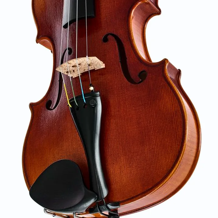 Karl Höfner H115-BG-V 4/4 Violin