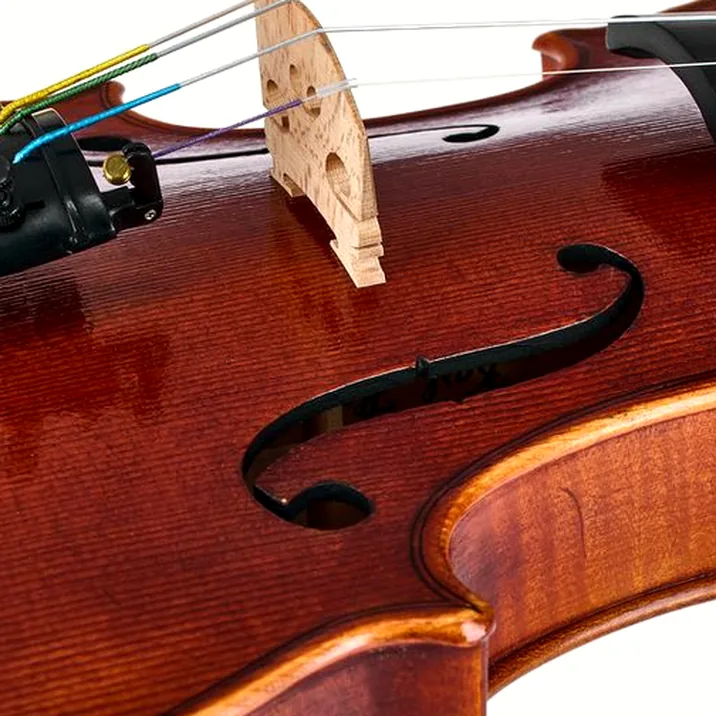 Karl Höfner H115-BG-V 4/4 Violin