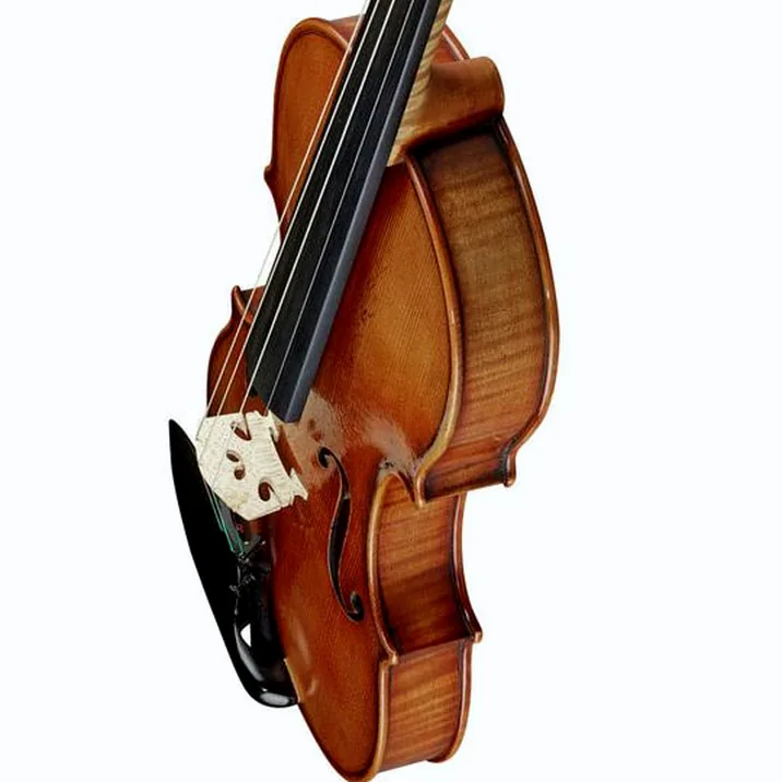 Karl Höfner H225-GG-V Guarneri del Gesu