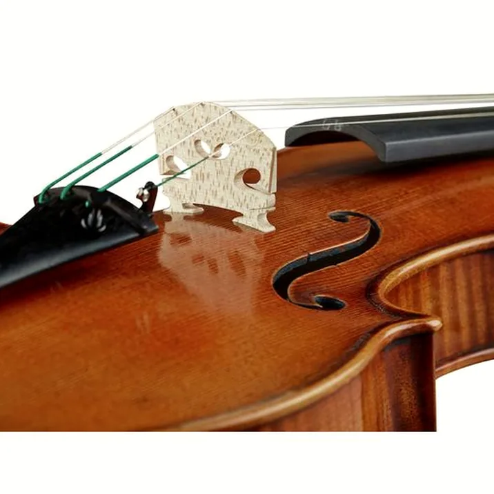 Karl Höfner H225-GG-V Guarneri del Gesu
